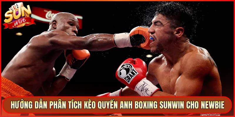 Hướng Dẫn Phân Tích Kèo Quyền Anh Boxing Sunwin Cho Newbie
